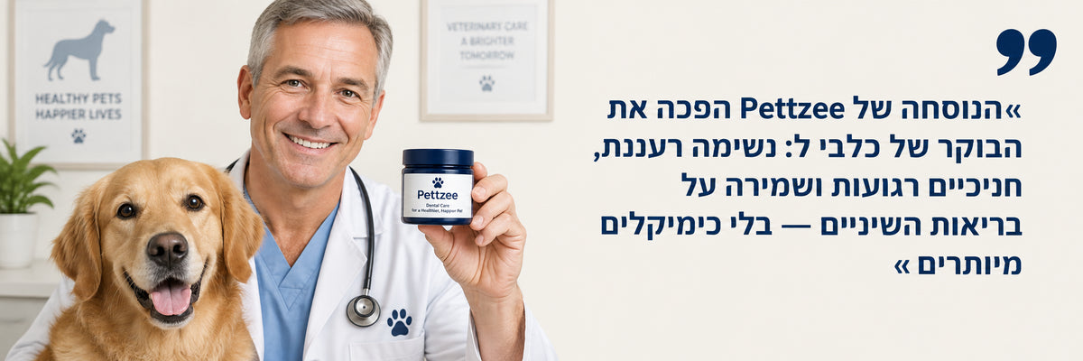 באנר Pettzee